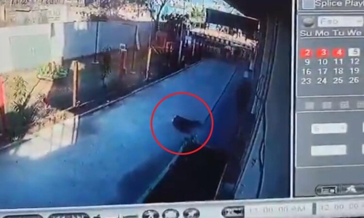 A 10th-grade student in Shadnagar, Hyderabad, tragically ended his life after being scolded by the school principal.
