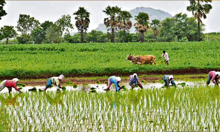 Telangana Dairy Federation clarifies only two months' pending payments to farmers, with ₹50 crore released for January dues.