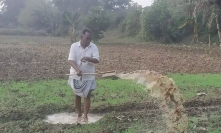 Telangana extends Rythu Bharosa benefits to farmers with up to two acres, supporting crop investment and agricultural growth.