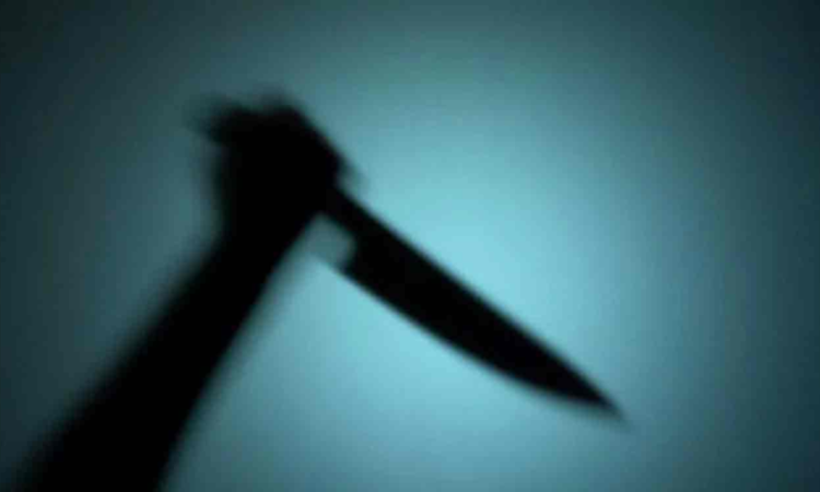 A mother and son were critically injured in a brutal knife attack by five assailants on Mittugadda Road, Hyderabad.