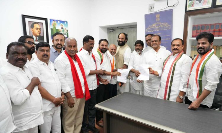 MLC elections