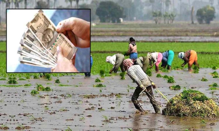 crop loss compensation