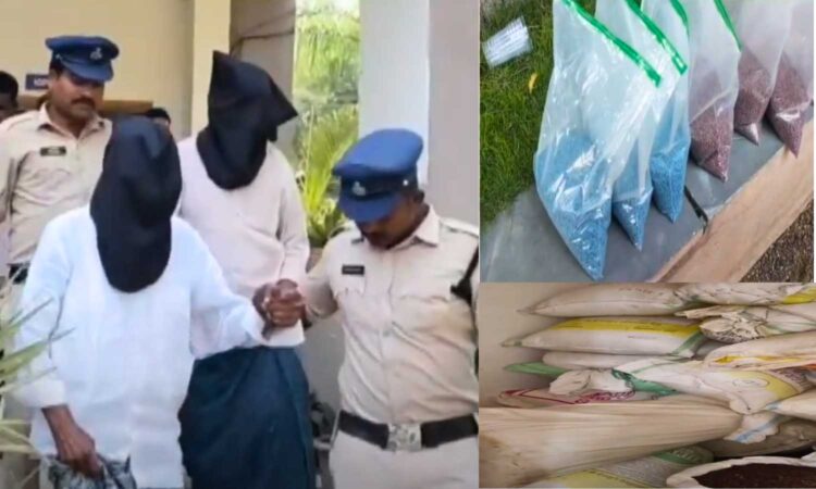 Fake Cotton Seeds Seized