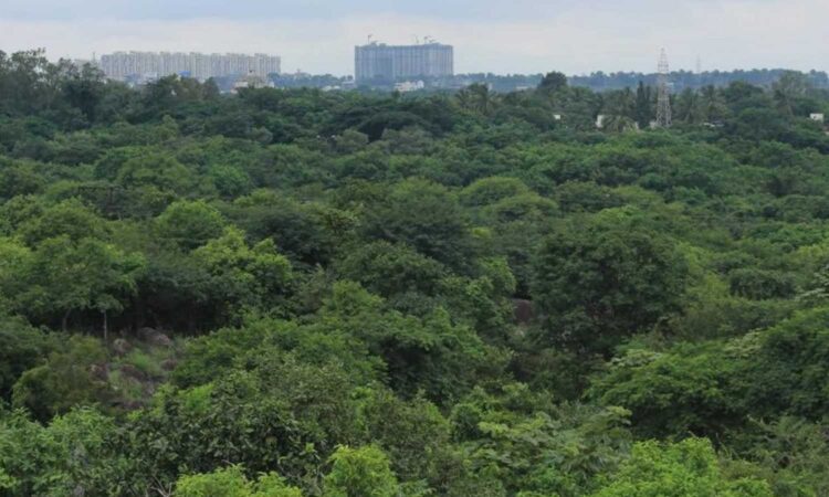 Gachibowli land fake videos