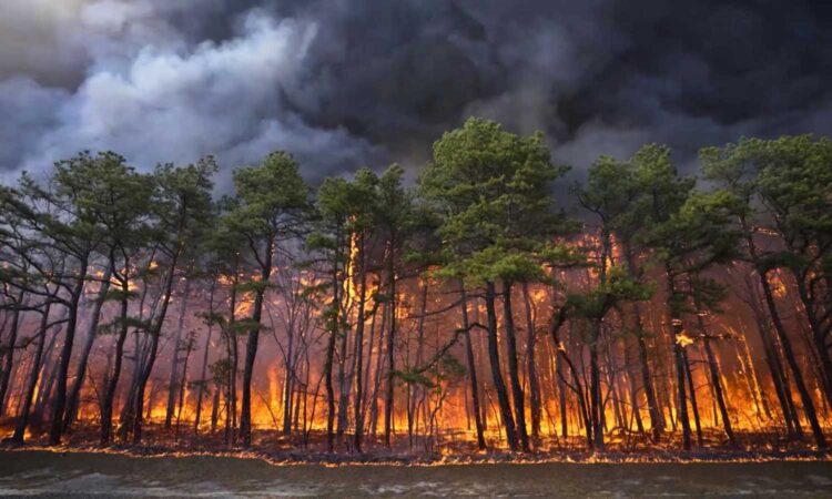 New Jersey wildfire