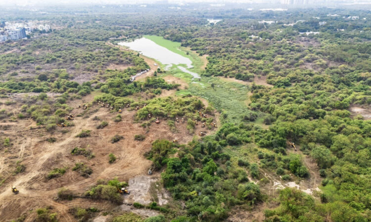 Telangana forests biodiversity