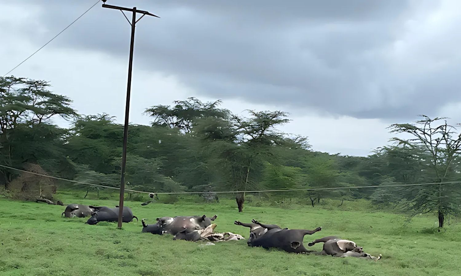 Mahabubabad electrocution accident