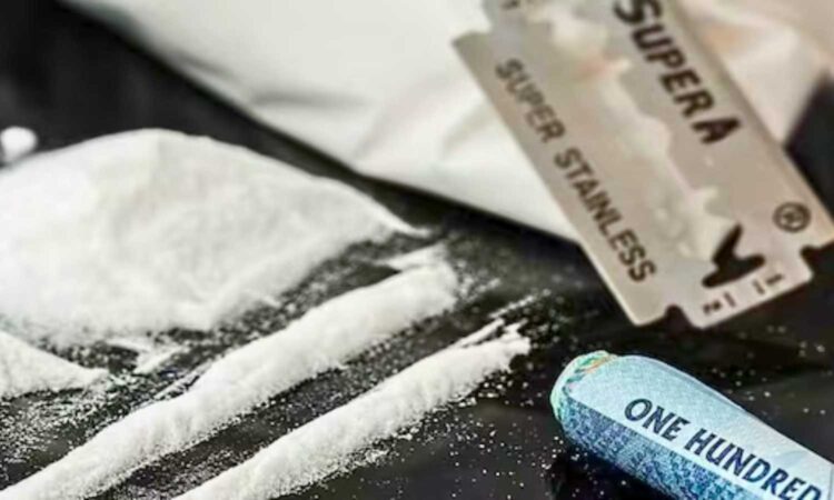 drug syndicate