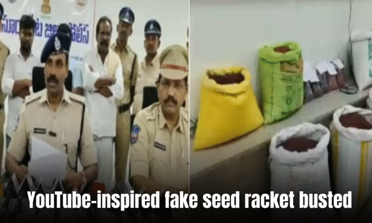 fake seed racket
