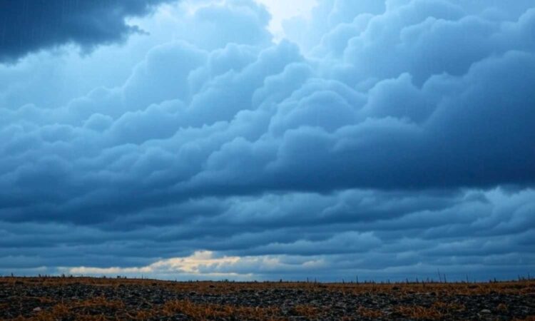 Telangana weather