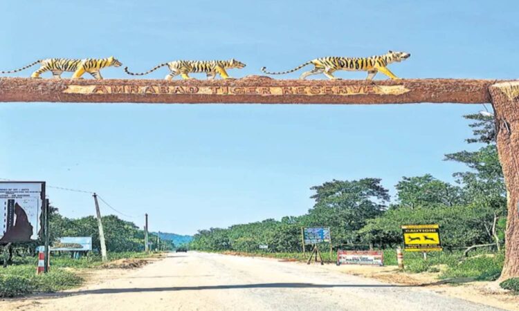 Amrabad Tiger Reserve