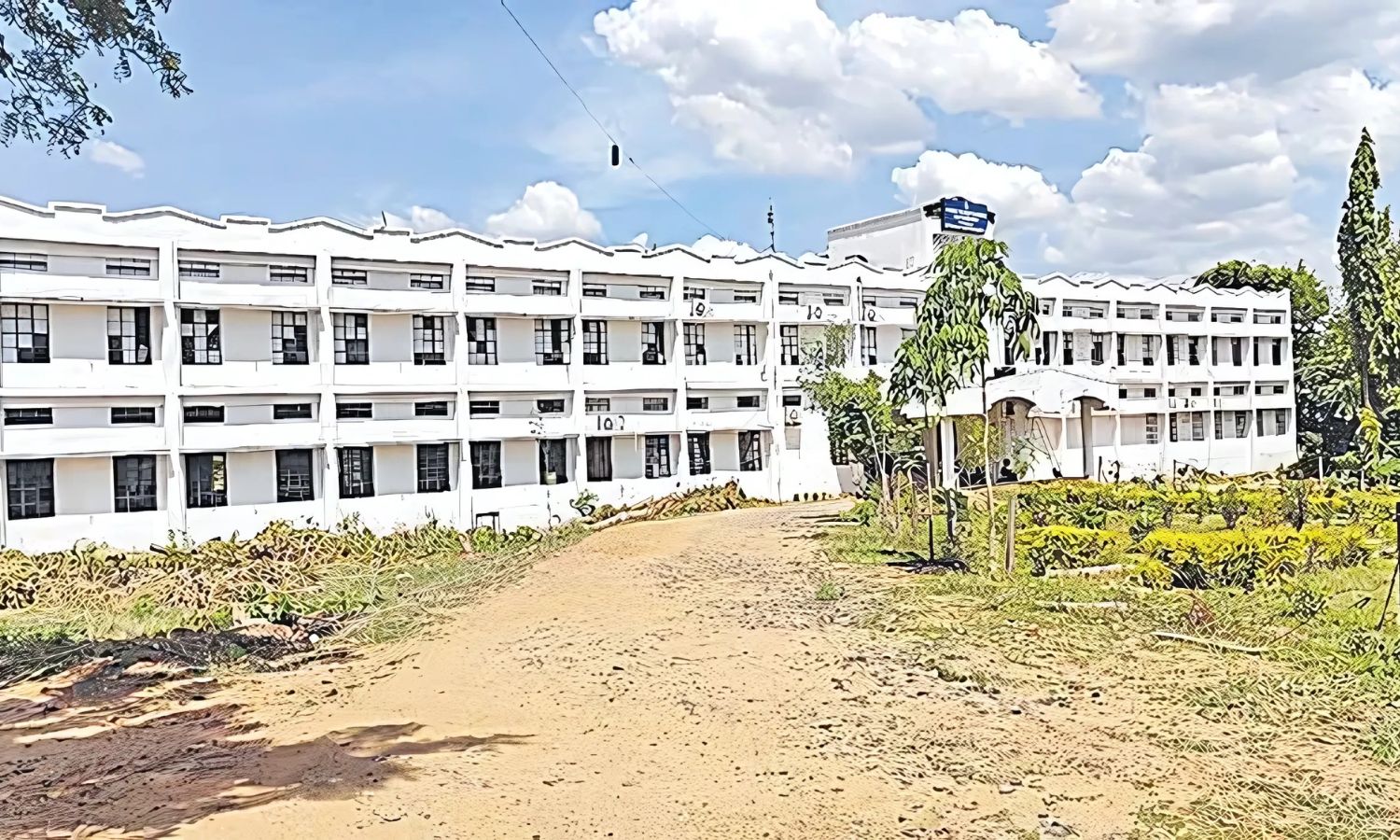 Earth Sciences University