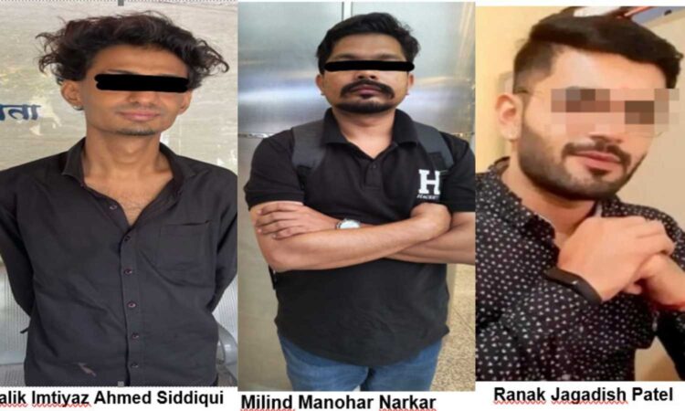 Investment Scam Arrests