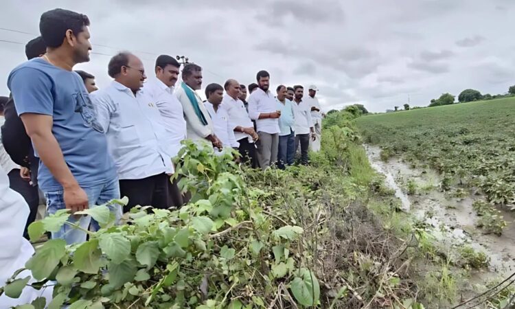 Anil Jadhav demands flood