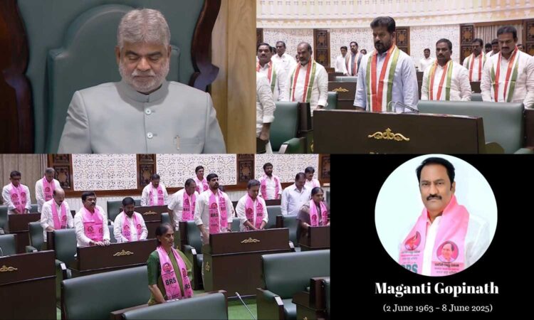 Assembly Tributes Gopinath