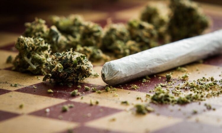 EAGLE team marijuana seizure