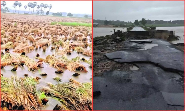 Flood Crop Loss