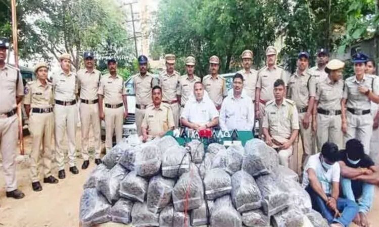 Excise Seizes Ganja