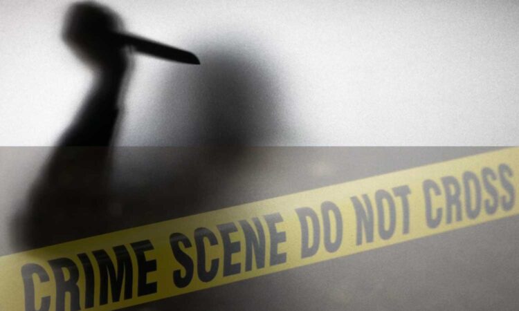 youth kills father