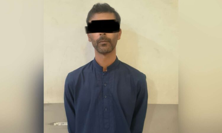 hydroponic ganja Hyderabad