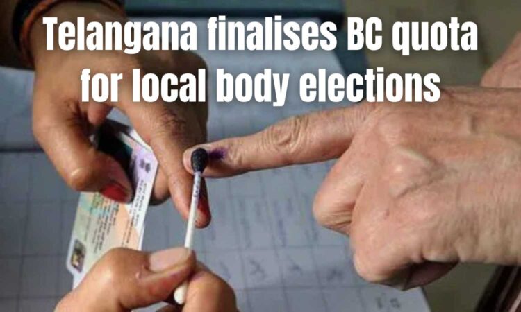 local body elections