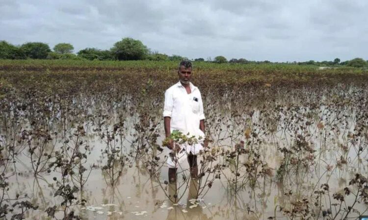 Manjeera floodwaters
