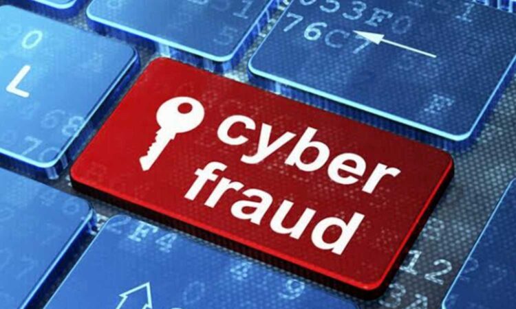 Cyber fraudsters