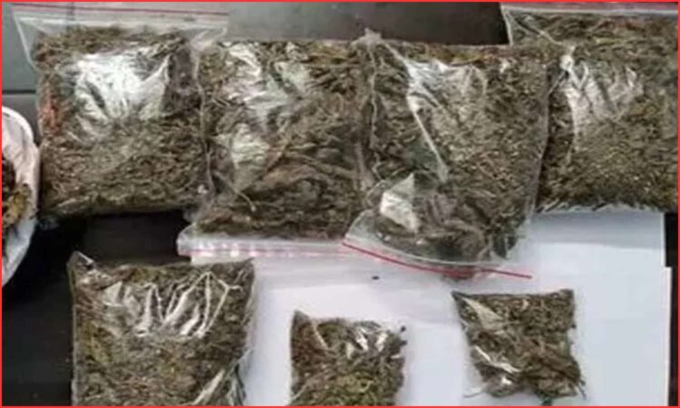 Jadcherla ganja sale