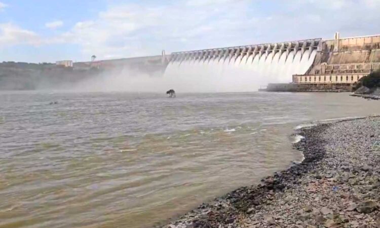Nagarjuna Sagar capacity