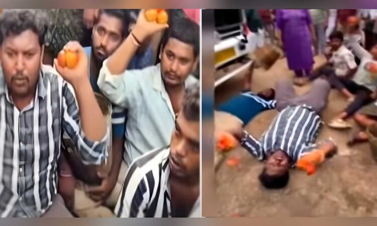 tomato farmers protest